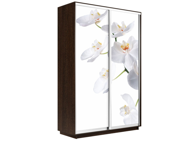 Шкаф-купе Экспресс 2-х дверный (Фото №1025 Орхидея белая), Венге